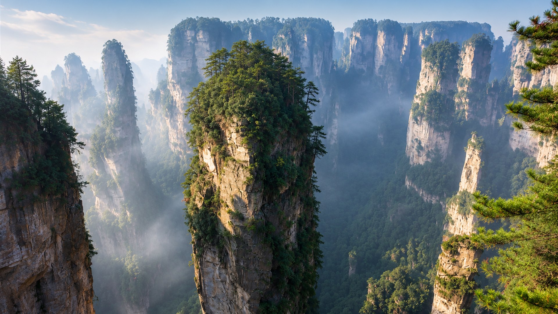 Misty sandstone pillar mountains in Zhangjiajie at sunrise